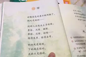 四年级语文下册诗歌绿视频封面