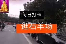 成都街头逛一逛，今天终于不下雨了！视频封面