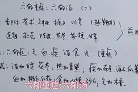 六郁重症:六郁汤加味视频封面