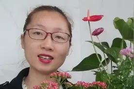 民间谚语“花旺人不旺”有什么道理？室内养花要注意哪些点？视频封面