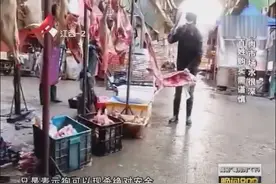 记者暗访狗肉市场，摊主们称自家狗肉绝对安全，却无法出示检验证视频封面