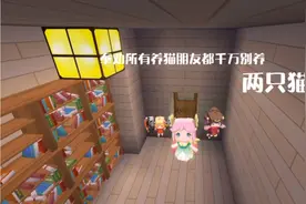 千万别养两只猫视频封面
