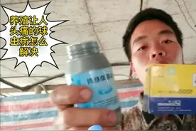 小吴养殖，雏鸡第四天做球虫疫苗，做好这几点成活率高达99%视频封面
