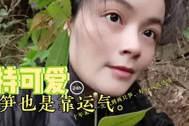 冬笋都被野猪吃了不少。最后找了一窝子！你喜欢吃的吗？视频封面