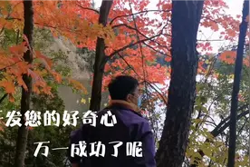 聊聊历史上因好奇心而改变人生，甚至影响世界的真实故事......…视频封面