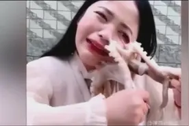 女主播表演活吃章鱼遭“反杀” 惨遭章鱼啃脸破相视频封面