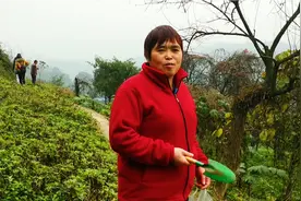 折耳根好吃，但却很少人知道折耳根性寒凉，虚寒的人还是要少吃哦视频封面