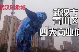聊聊武汉青山区四大主要商业体，停车优惠汇总，您一般会去哪逛街视频封面