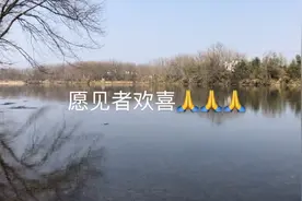 随缘买下鳝鱼将其放生，放生的功德不可思议，带你看看放生视频封面