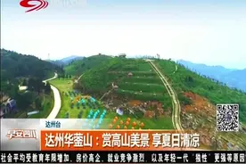 达州华蓥山：儿童乐园、独栋树屋、露营基地...夏季避暑好去处！视频封面