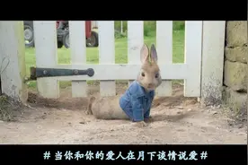 这首背景音乐配上疯狂偷菜的可爱兔子 难道不应该来个大转折吗？