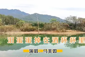 马美如这首《泪蛋蛋掉在酒杯杯里》最近太火了！分享大家欣赏视频封面
