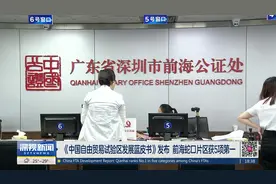 《中国自由贸易试验区发展蓝皮书》发布  前海蛇口片区获5项第一视频封面