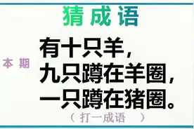 猜成语：有十只羊，九只蹲在羊圈，一只蹲在猪圈，打一成语视频封面