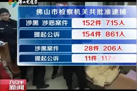 截至5月底 广东佛山市检察院批准逮捕涉黑涉恶案件715人视频封面