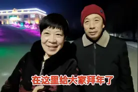 东北老两口，除夕夜逛鹤岗北山公园，太潇洒了视频封面
