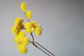 历时半个月自学非遗绒花，终于做了一个成品，自己觉得不满意！视频封面