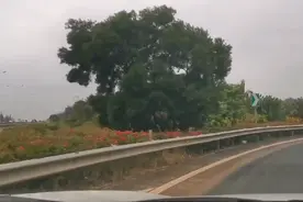 自驾海口周边市县，想看看1小时生活圈里，能否还找到儿时的足迹