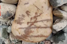 下雨天又去黄河边捡石头，在路上捡到一块精品水纹不，收获还不错视频封面