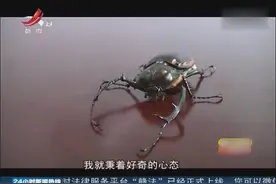 捡到可爱小甲虫，竟是“国保”阳彩臂金龟，男子赶紧联系警方视频封面