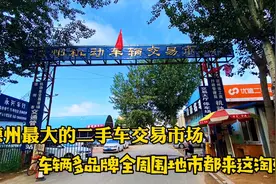 探访德州最大的二手车交易市场，车辆多品牌全，周围地市都来淘车视频封面