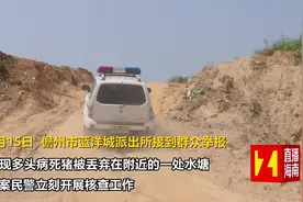 关注非洲猪瘟 ： 儋州一养殖户私自丢弃病死猪，被行政拘留5日！视频封面