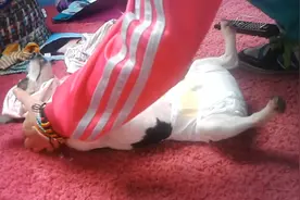 主人给狗狗穿衣服，狗狗全程配合，穿好后狗狗反应笑死人视频封面
