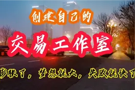 2016年创建自己的交易工作室，人膨胀了，梦想就大，失败就快了。视频封面