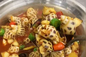 广东辣酒煮花螺，香辣入味另一种味觉感受，下酒一流视频封面