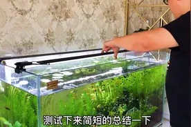 买鱼缸灯的注意，看看LED鱼缸灯能让水草冒泡泡吗？视频封面