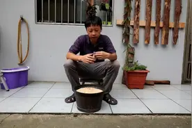 试种小麦草看看怎么样视频封面