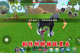 创造与魔法:制作黑马饲料捕捉黑马，大型血亏现场。视频封面