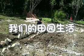 农村小哥用石头装饰菜园子六岁女儿来帮忙，网友：吃饱了撑的视频封面