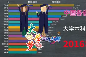 我国各省2005－2017年普通高等学校本科招生数，鲁大壮实力如何？视频封面