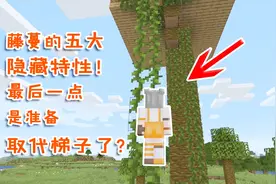 我的世界盘点：藤蔓的五大隐藏特性！最后一点是准备取代梯子了？