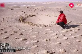 旅行家雷殿生独自穿行罗布泊，在余纯顺墓旁露营惊吓的不敢视频封面