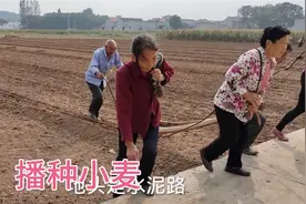 河南豫北山区开始播种小麦了，人工拉耧，拉耙，场面壮观视频封面