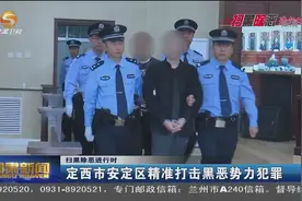【 扫黑除恶进行时】 定西市安定区精准打击黑恶势力犯罪视频封面