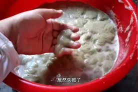 堂叔辛苦找来一大捆百解藤，做百解豆腐竟然失败了，什么原因？视频封面