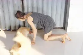 小妹正在和狗狗玩耍，狗儿却三心二意，小妹都无语了！视频封面