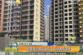 红星美凯城莫名停工 现场竟成菜地视频封面