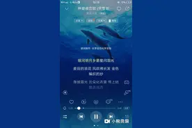 小花仙第二季插曲——仲夏夜恋歌