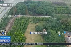 揭秘远古文化魅力！苏州草鞋山遗址：我国首次在史前墓中发现玉器视频封面