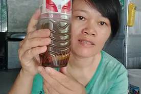 蜈蚣泡酒还有这几个好处？真的假的？一起来听听吧视频封面