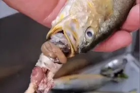 大厨教你如何简单干净的处理小黄鱼视频封面