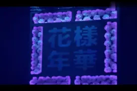 花样年华bts视频封面