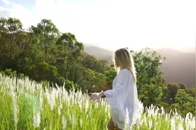 《洛天依你到底把我家钥匙放在哪里了》，经典老歌值得单曲循环视频封面