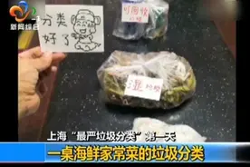 “干湿垃圾”怎么分？给你最严垃圾分类指南！视频封面