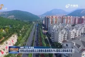好消息！今年山东企业职工工资增长基准线为7%，最低工资标准不变视频封面
