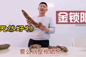 天然中药材金锁阳，晒干泡水泡酒是好东西，它的作用你了解吗